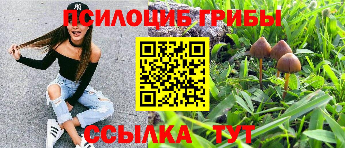 Новый Уренгой  Псилоцибиновые грибы Psilocybine cubensis  Вход с VPN  Псилоцибиновые грибы Psilocybe 